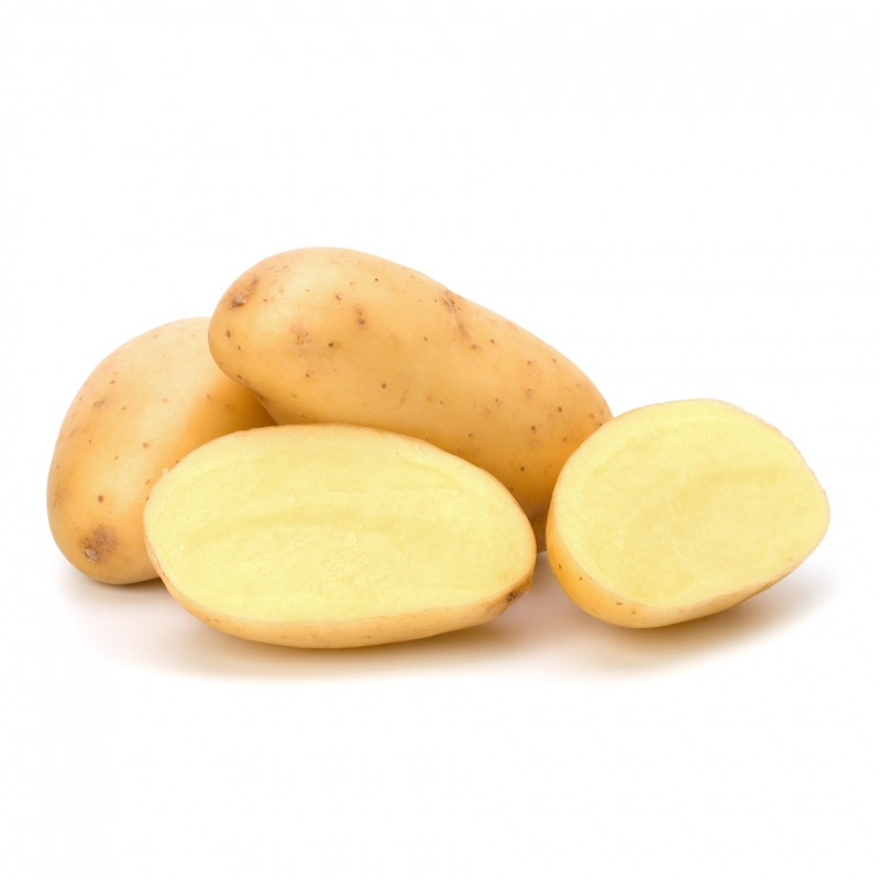 pommes de terre agria 25kg