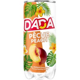 DADA pêche 24 x 33cl