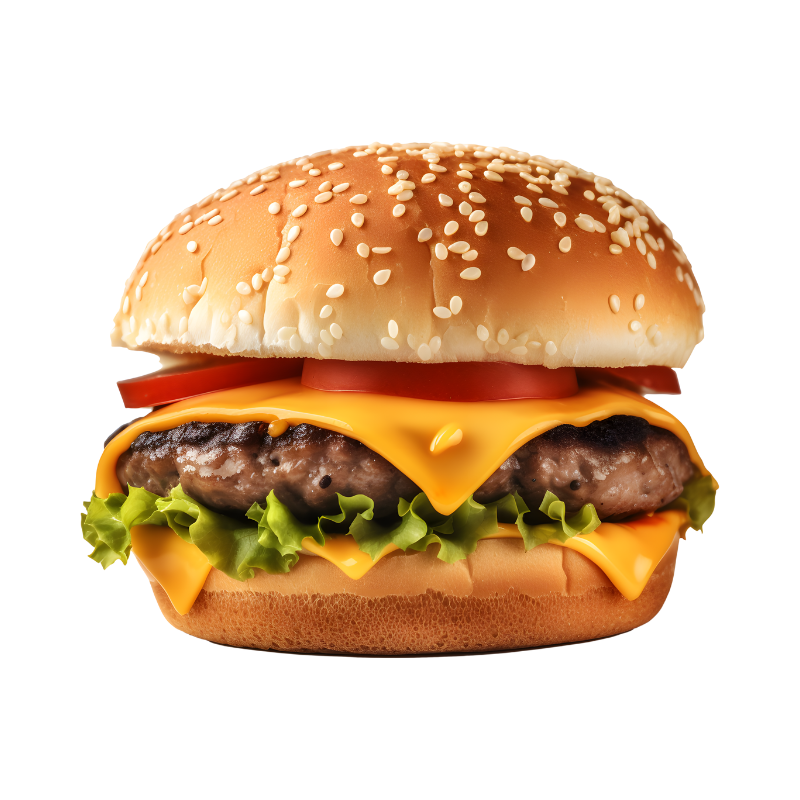 Paragon Burger 48 x 56g